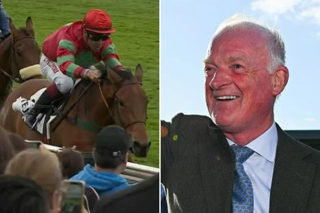 Willie Mullins buys ‘the most exciting horse for next season’ after seeing what he did on debut