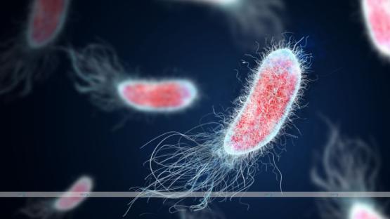 Bacterial Infections: Understanding, Treatment and Prevention