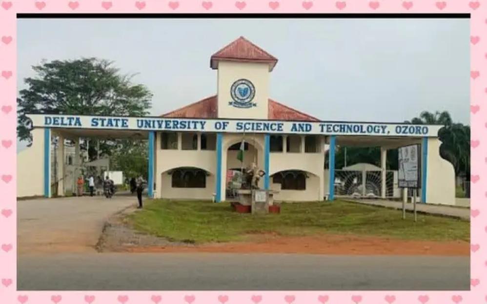 Southern Delta University expels, rusticates 19 students over attempted murder, forgery, others 