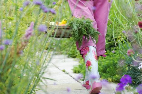 Woman in pink carrying harvested vegetables in a trug through a garden.