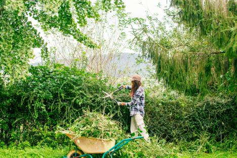 Experts recommend carrying out an essential gardening step right now to prevent weeds – it doesn’t have to cost a penny