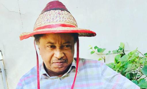 Agricultural summits in North mere ‘talking shops’ – Shehu Sani