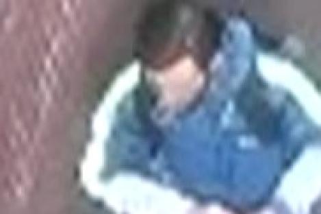 Boy, 5, ‘mauled by dog which bit his arm’ in horror ‘attack’ on train sparking urgent manhunt