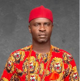 Court affirms Chidiebere Egwu as South-East Zonal Chairman of PDP