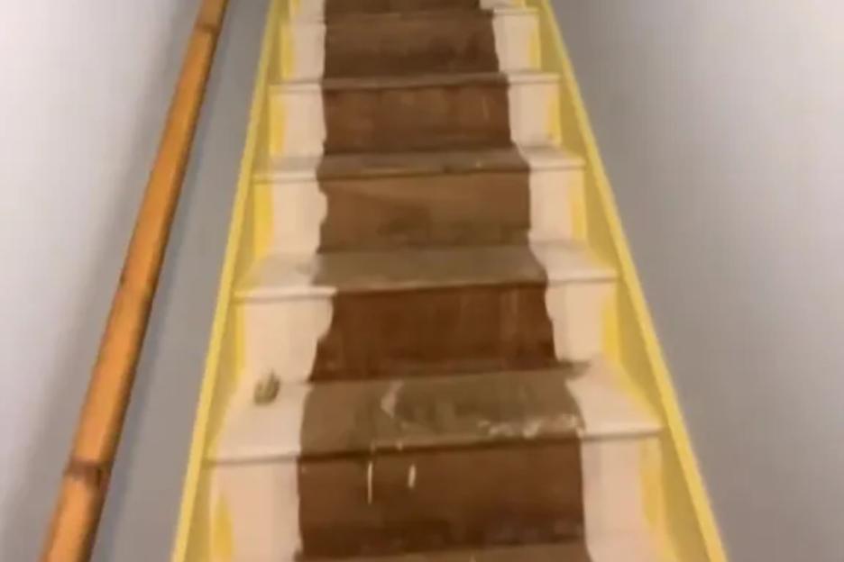 I’m transforming my nasty council home one lick of paint at a time, but everyone has the same complaint about my hallway