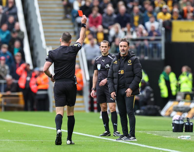 Wolves Boss Vitor Pereira Shown Red Card Just 20 Minutes Into Brighton Match for Kicking Ball into Officials' Dugout