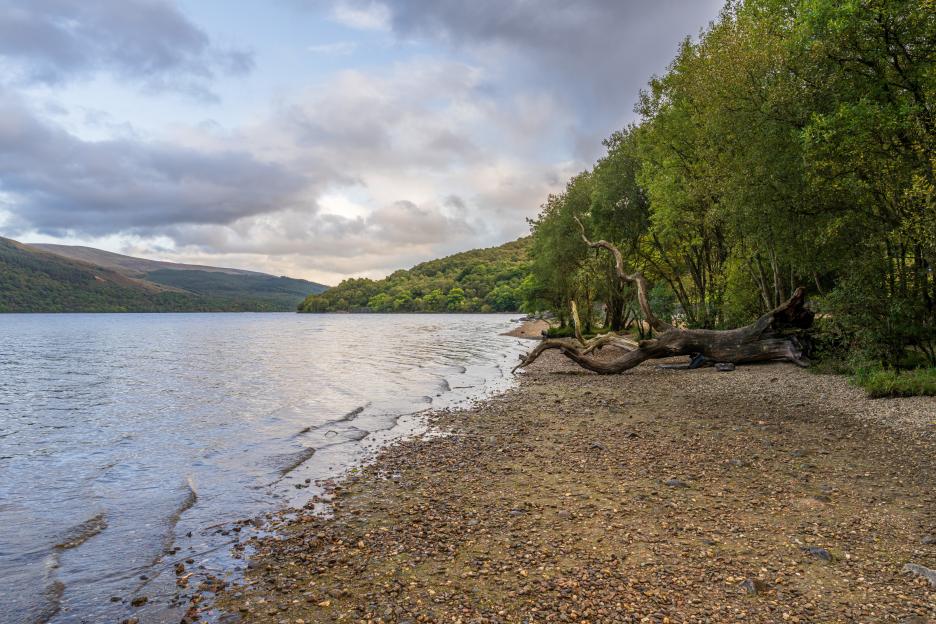 Suspected human remains found in Loch Lomond as police launch probe