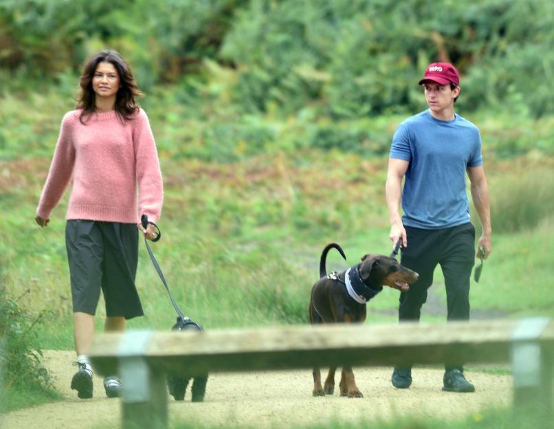Tom Holland and Zendaya walking their dog.