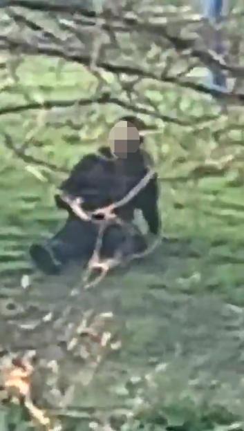 Video still of a person on the ground in a park, appearing to be injured.