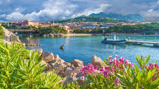 European destination with new BA flights that used to have ‘dolphin currency’ and has the best beach in the world