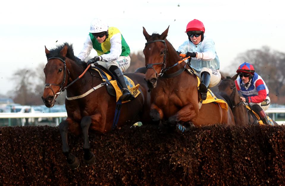 Grand National horse disqualified and owners stripped of £57,000 winnings after failed drugs test