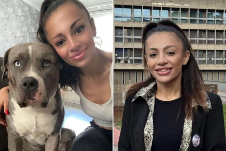 Woman Claims Her XL Bully Was Friendly Despite Attack, Ends in Fatal Shooting by Police