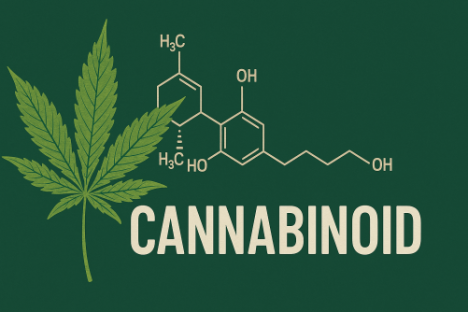 Use Cases for THC-P: Exploring the Risks and Rewards