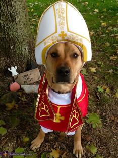 Dog dressed as the Pope.