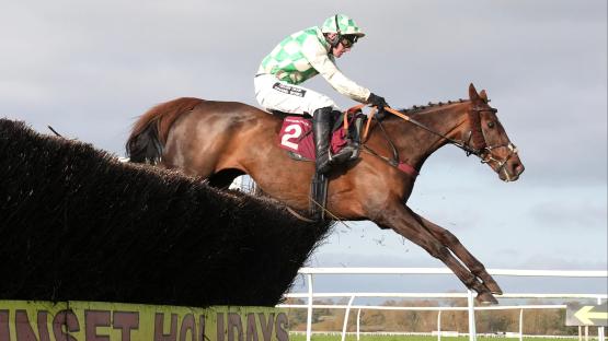 Celebre D’Allen dies two days after collapsing on track at Grand National as statement is released