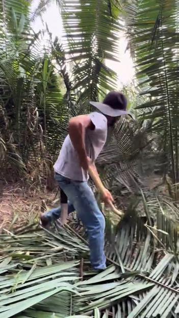Reinaldo da Silva Melo, an influencer known as "King of Juquira", uses a scythe to clear overgrown vegetation.