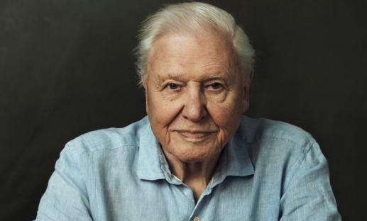 Portrait of David Attenborough.