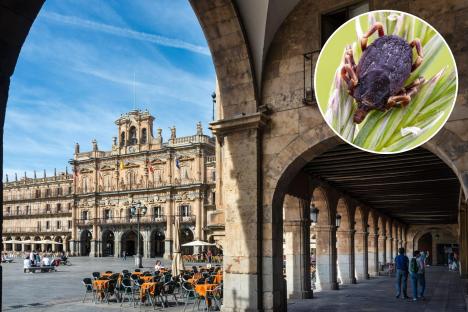 Urgent warning to Brit travellers after deadly virus that kills 40% of victims found in Spanish hotspot