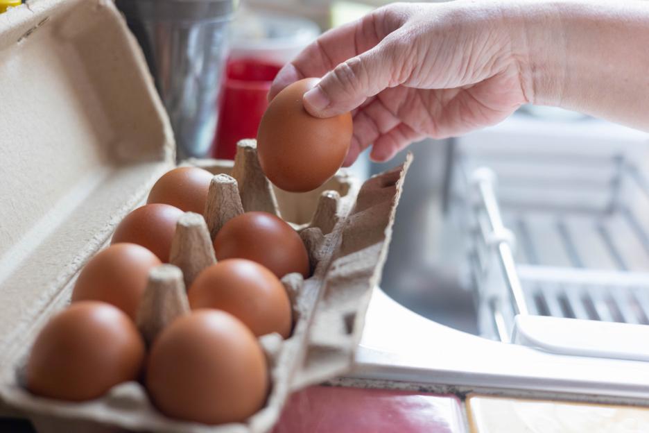 A hand places a brown egg into a cardboard egg carton filled with other brown eggs.