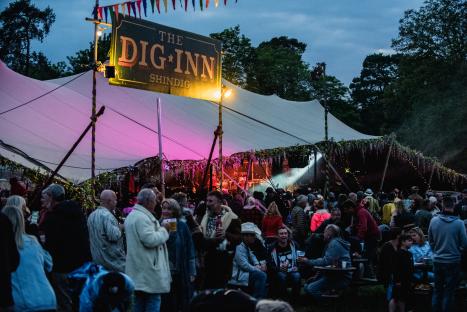 Crowd at The Dig Inn Shindig festival.