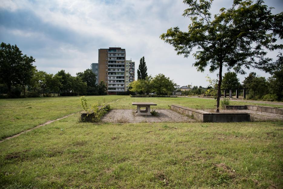 Picnic table and benches in a grassy area with a high-rise building in the background.