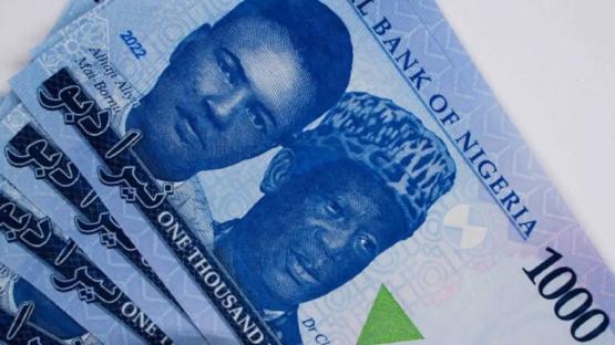 Naira records highest appreciation against dollar since Trump’s tarrif pause
