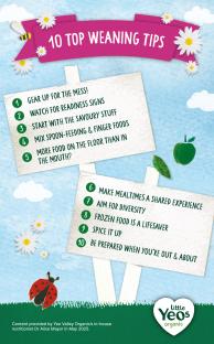 Illustration of 10 top weaning tips.