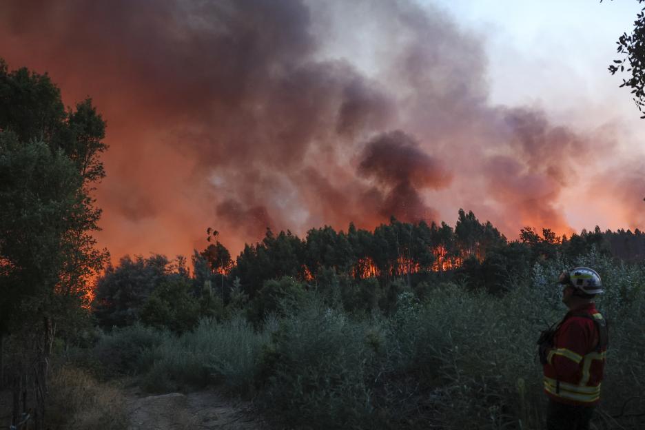 Firefighter observing a large forest fire.