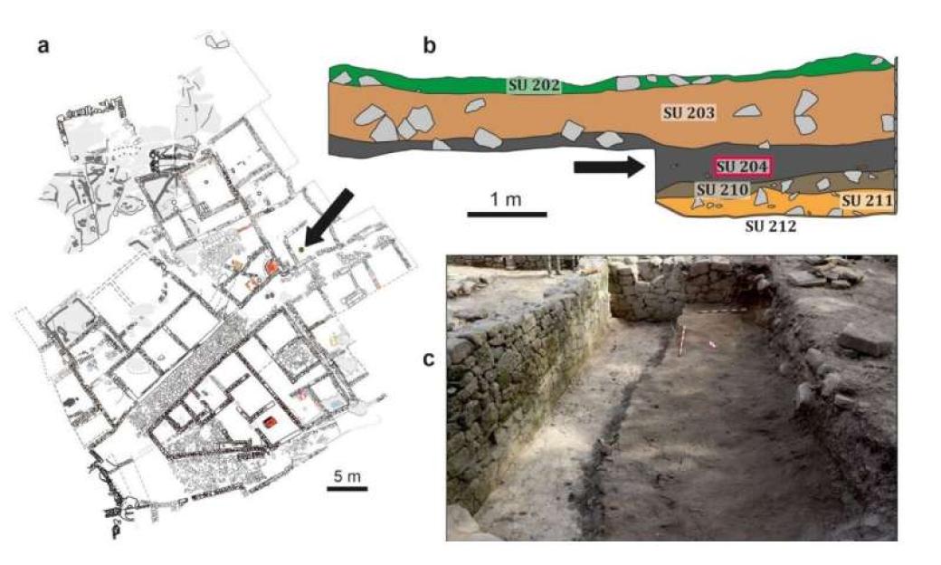 Illustration of an archaeological site showing a map, cross-section, and photo of the excavation.