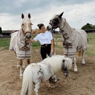 Woman with two horses and a pony.
