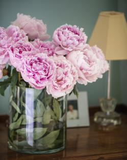 Pink peonies in a glass vase.