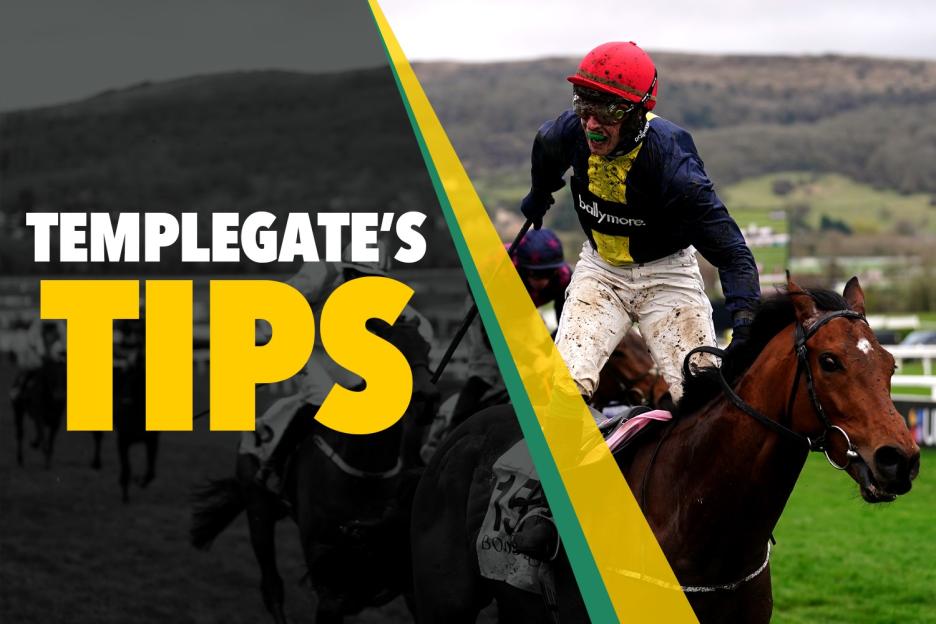 Horse racing tips: ‘She’s in excellent form and loves the track’ – Templegate’s NAP to strike for shrewd owners