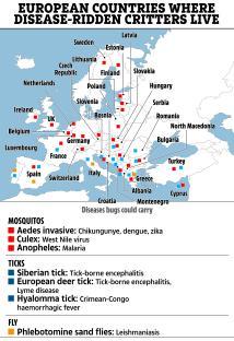 a map showing european countries where disease ridden critters live