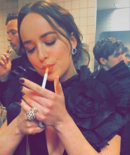 SMOKING in bogs is illegal over here â€“ so don’t take after Fifty Shades star Dakota Johnson.