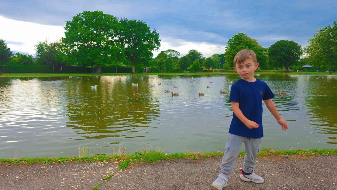 Young boy by a pond with ducks.