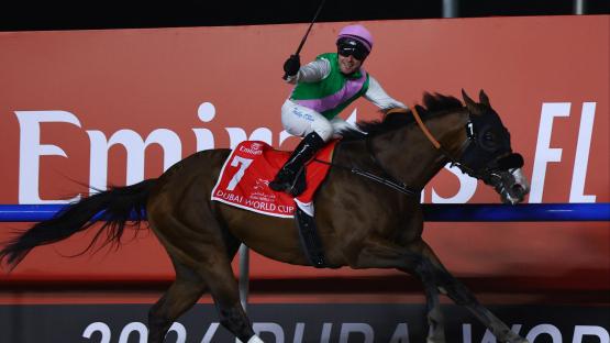Dubai World Cup prize money 2025: How much does the winner get?