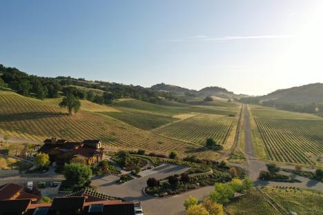 Aerial view of a winery in a vineyard.