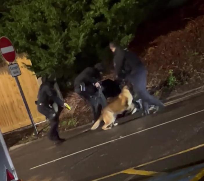 NINTCHDBPICT001035619548