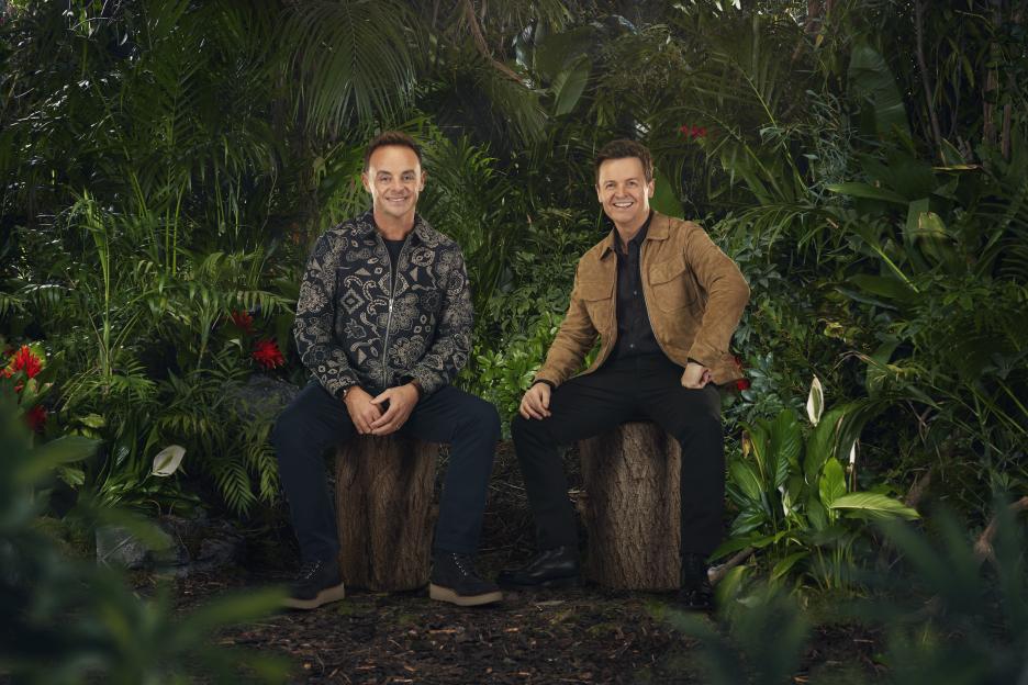 Ant and Dec sitting on tree stumps in a jungle setting.