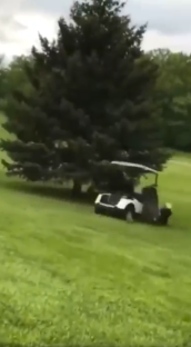 Golf cart near a tree on a golf course.