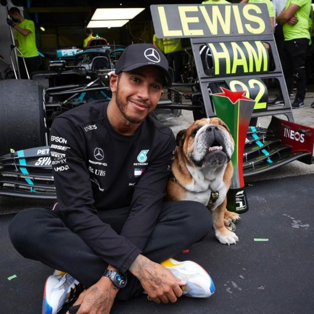Dad (LEWIS HAMILTON) won the race because Im (ROSCOE) hes lucky mascot. DOG https://www.instagram.com/p/CG4bCnqM5Xe/