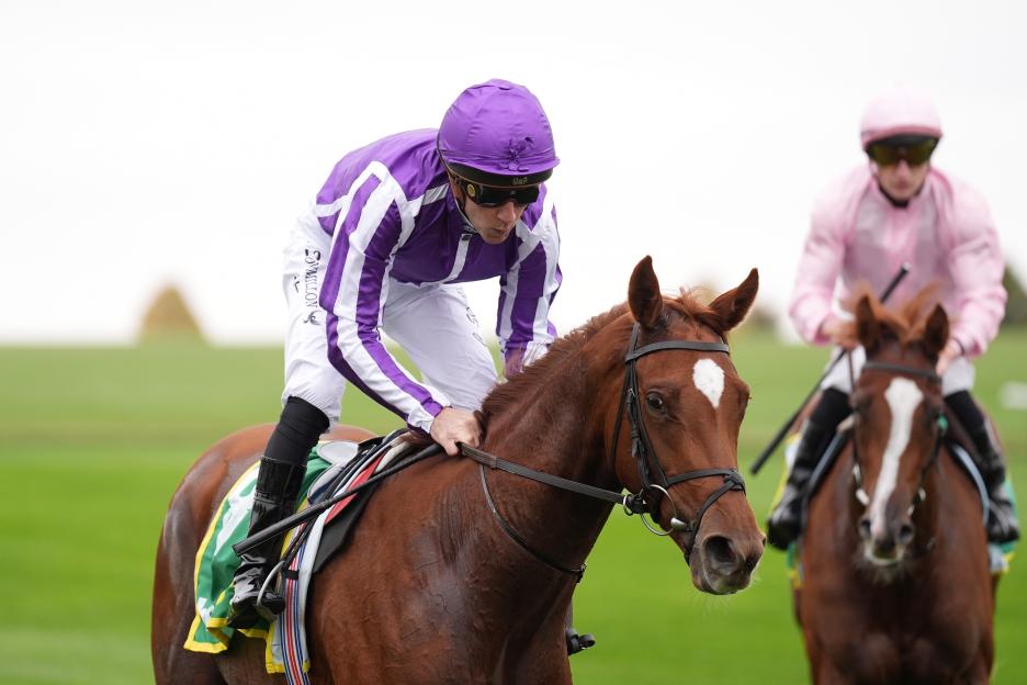 Breeders' Cup Drama: Aidan O'Brien Offers Key Update as Three Major Horses are Scratched