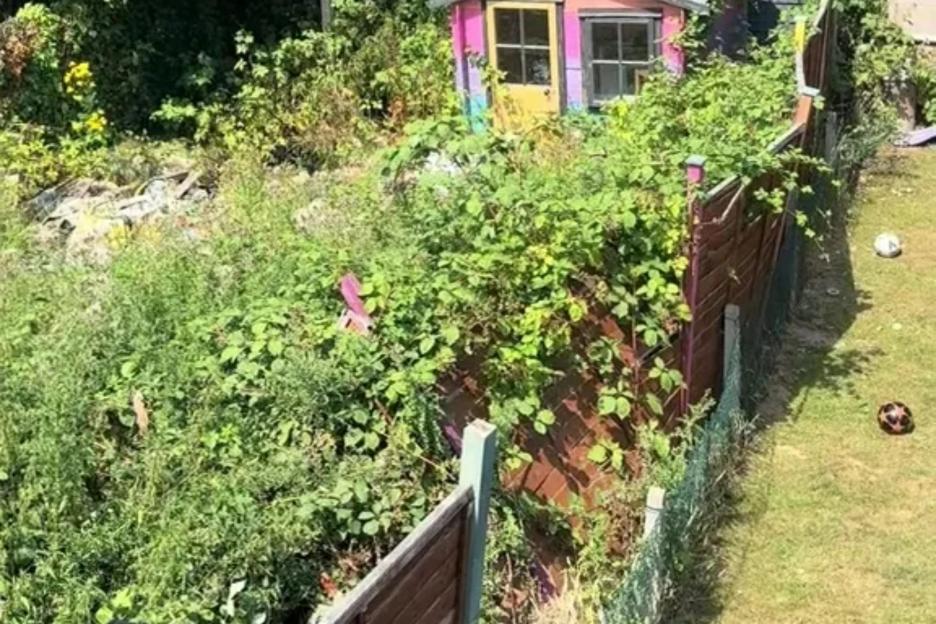 My neighbour’s garden is so overgrown my fence has collapsed – her laziness has already cost me £150