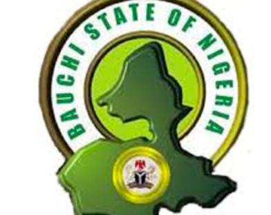 Bauchi govt raises alarm over rising maternal mortality rate