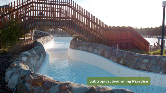 Subtropical swimming paradise with a wooden bridge.