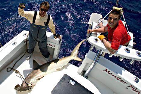 Two men on a boat holding a large hammerhead shark.