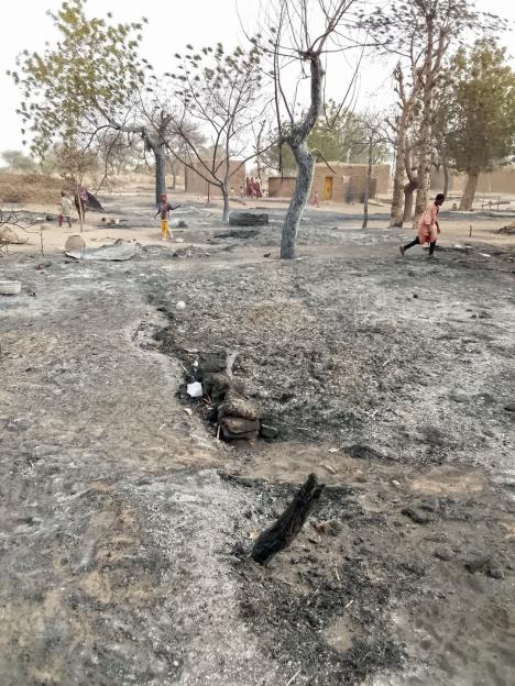 51 houses, 85 livestock reportedly destroyed as fire ravages Yobe community 4