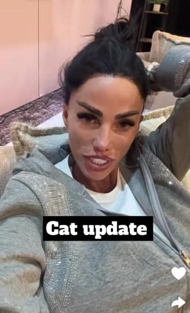 Katie Price’s newborn kittens are rushed to the vet after falling sick amid calls for her to be banned from owning pets