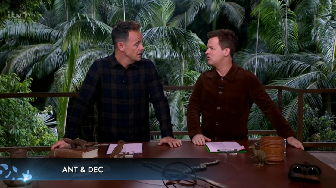 Ant and Dec on a jungle-themed set.