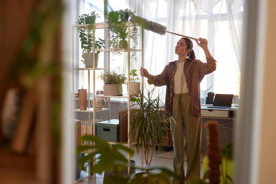 Mirror Reflection of Young Woman Dusting Tall Shelves